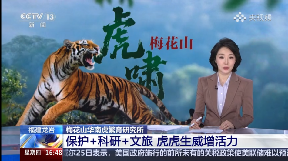 图片1_副本.png